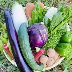 自然栽培・夏野菜おまかせ５品セット【農薬・肥料不使用】