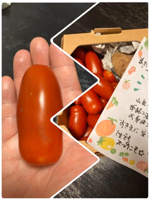 みんなの投稿の画像