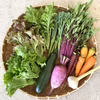 旬の野菜セット【農薬・化学肥料不使用】旬のカラフル野菜の詰め合わせセット