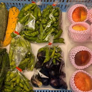 桃、ズッキーニ、キュウリ、オクラ、ナンバン類、ナス