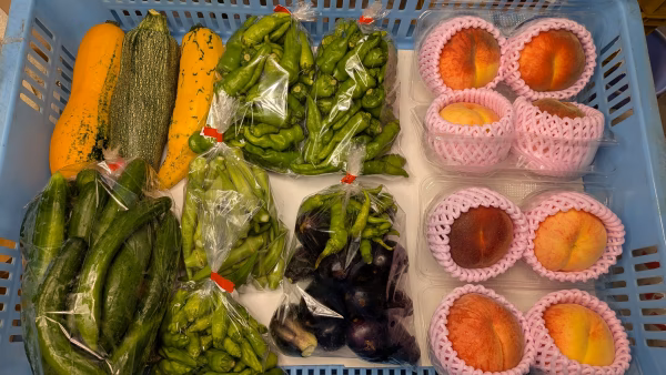 桃、ズッキーニ、キュウリ、オクラ、ナンバン類、ナス