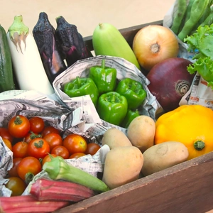 【月２定期便】旬のお野菜を少しずつたくさん！甲斐路の山々に見守られて育ったお野菜