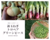 【期間限定】春満載!!新玉トロペア&グリーンピースセット