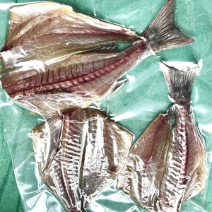 【今が旬島根県産】いさきの干物・いさき・訳アリ