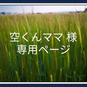 ✳空くんママ様専用✳もち麦500ｇ×2袋