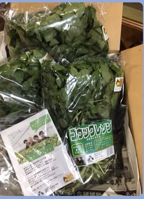 みんなの投稿の画像