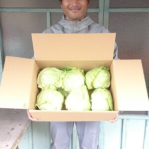【生食自信あり！】鳥取クロボク育ちのキャベツ