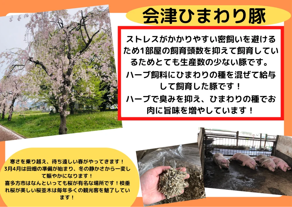 【新発売！】ひまわり豚の大きなコロッケ　1パック3個入り