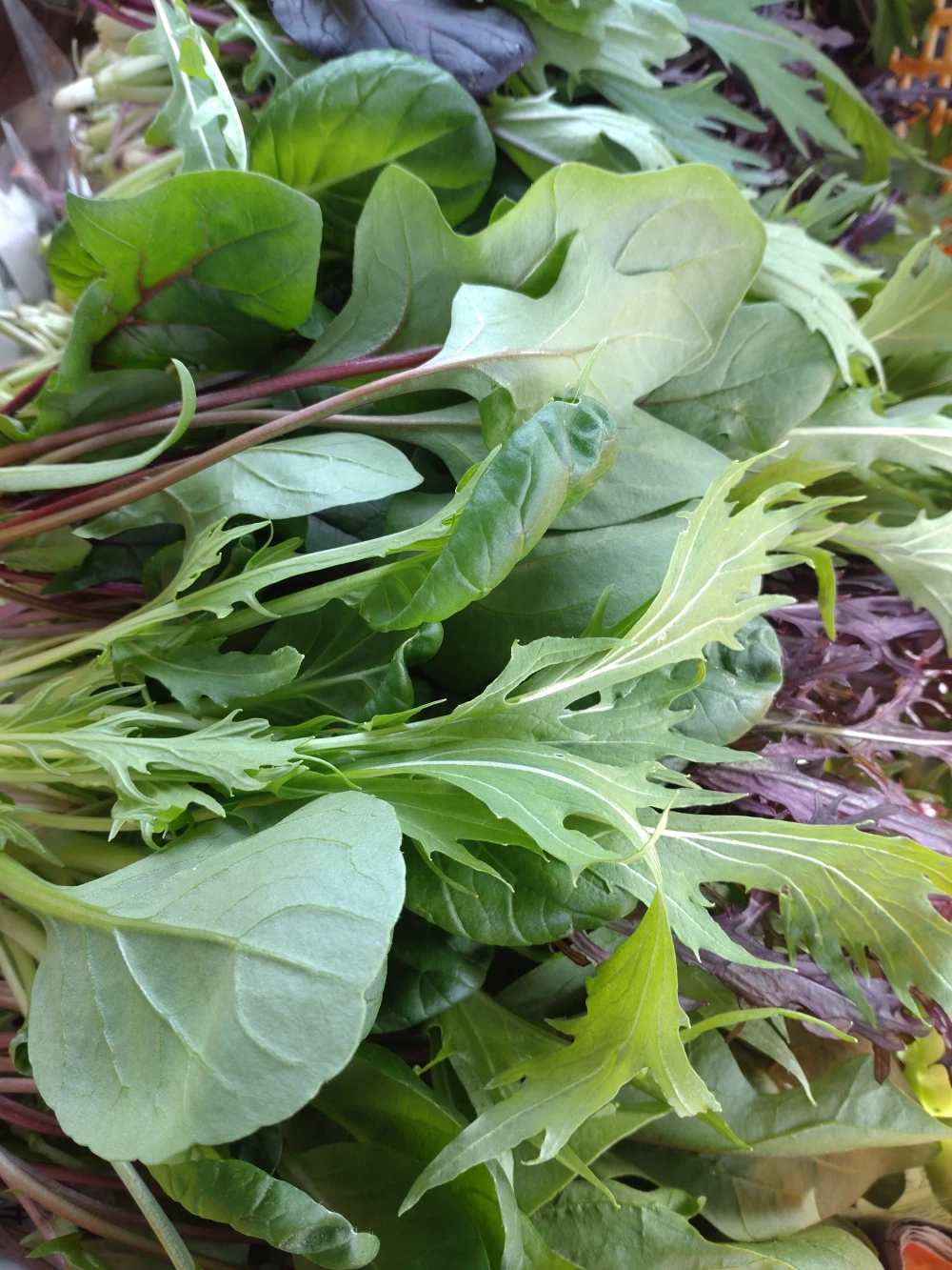 一瞬一旬お野菜セット 寒いはしゃぶしゃぶ暖冬はサラダのはっぱっぱ