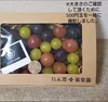 一箱　忍まるギフトBOX　約600g　葡萄　ぶどう　粒ぶどう　お中元　ご褒美