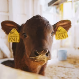 今井裕子 | 村岡アグリファーム株式会社