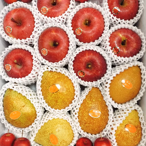 サンふじ＆ゼネラル・レクラーク　〜りんご好き、洋梨好き集まれ！！〜