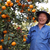 曽根和久 | 曽根花卉