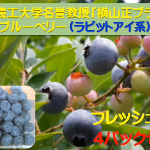 東京農工大学名誉教授「横山正ブランド」ブルーベリー：ラビットアイ果実詰め合わせ