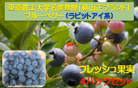 東京農工大学名誉教授「横山正ブランド」ブルーベリー：ラビットアイ果実詰め合わせ