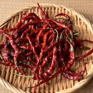 愛知県 豊田市旭産 赤唐辛子 日光唐辛子（乾燥） 40g