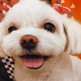 リクメリ
