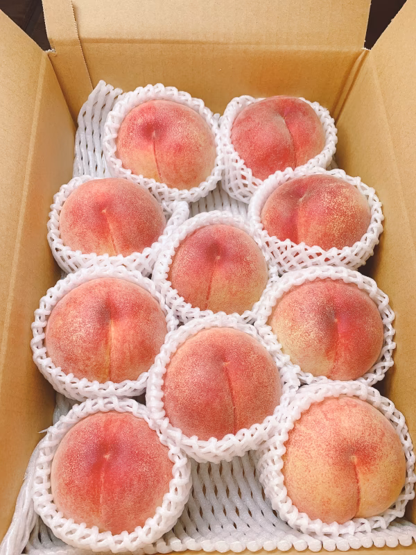 3ｗ7【白桃】『年間67品種の桃を栽培』品種は何が届くかお楽しみ♪3kg