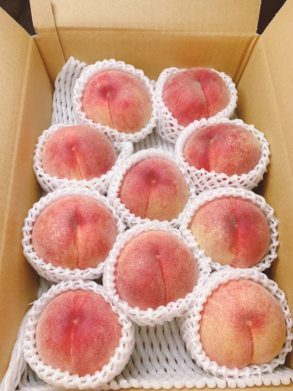3ｗ7【白桃】『年間67品種の桃を栽培』品種は何が届くかお楽しみ♪3kg