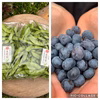 【おまけ付】　無農薬・化学肥料不使用　えだ豆７５０ｇ×３ブルーベリー１５０g×１