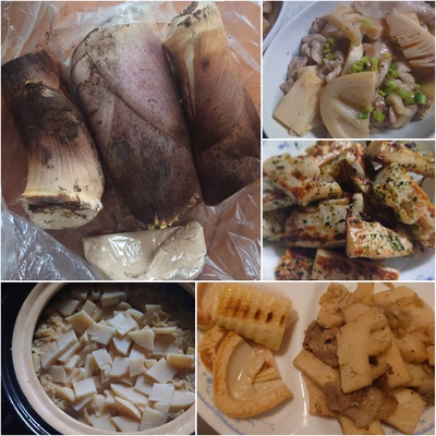 みんなの投稿の画像