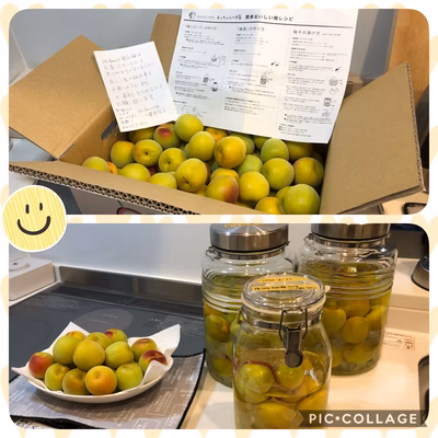 みんなの投稿の画像