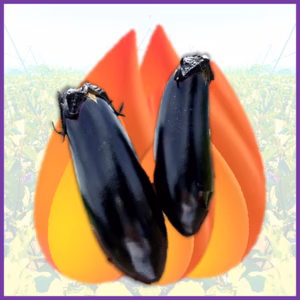 【最終SALE】増量・朝どり高原なす2.5kg