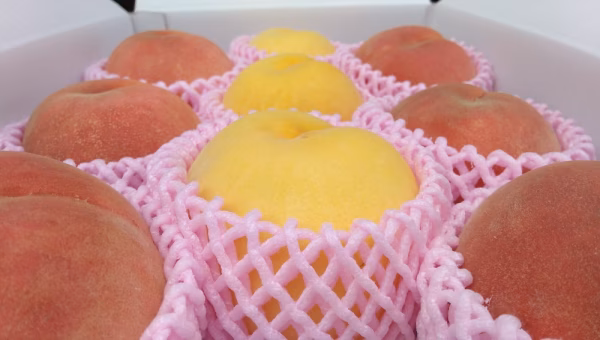 　☆夏の人気者☆【福島の桃　贅沢2種類】贈答用2～3キロ箱　数量限定