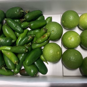 熊本県産農薬不使用ハラペーニョ500g  柚子 500g柚子胡椒セット