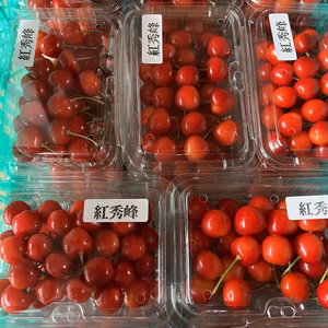 【クール便】さくらんぼ 佐藤錦 紅秀峰 訳あり 贈答 秋田 サクランボ