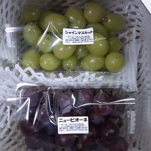 ☆ご自分用に「粒シャインマスカット&粒ピオーネ」 岡山から