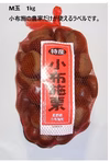 信州　小布施栗　M玉1.1キロ10％増量～ 銀寄/筑波等（中生品種）　
