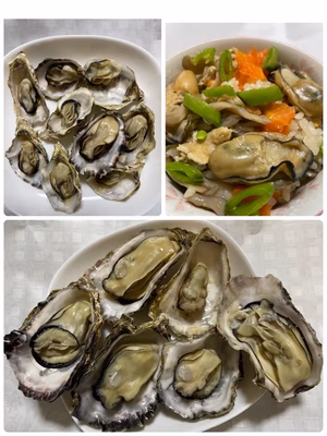 みんなの投稿の画像