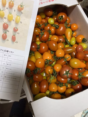 みんなの投稿の画像