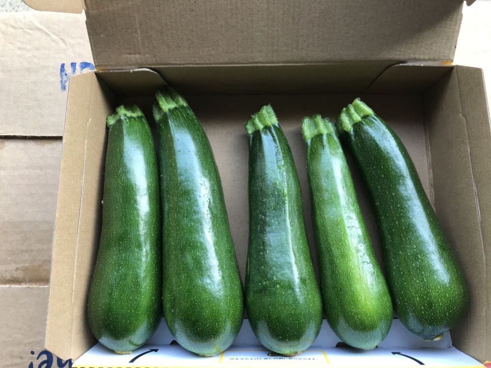 百貨店福袋 鹿児島産】甘塩ズッキーニ箱込み1キロ^_^｜ズッキーニの商品詳細 野菜