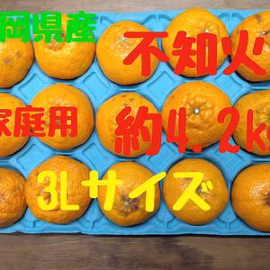 静岡県産　不知火　家庭用　3Lサイズ　約4.2㎏