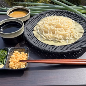 あいうえおうどん 太麺 細麵 食べくらべセット （生うどんのみ・麺つゆなし）