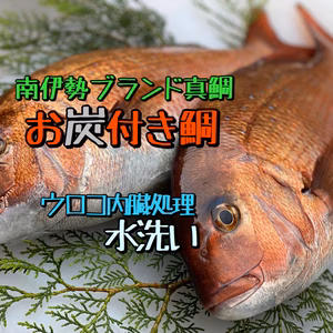 お炭付き鯛(水洗い)