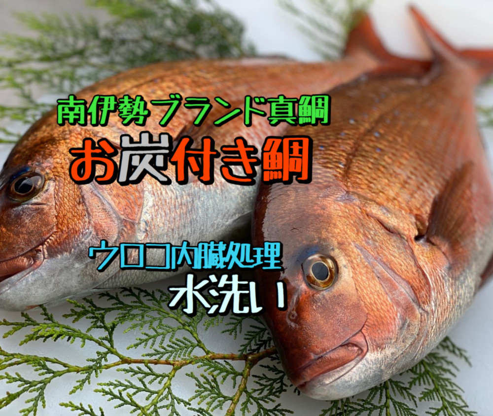 お炭付き鯛 水洗い 農家漁師から産地直送の通販 ポケットマルシェ