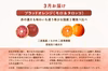 「春から初夏の柑橘巡る定期便」旬の柑橘8品種を食べ比べ