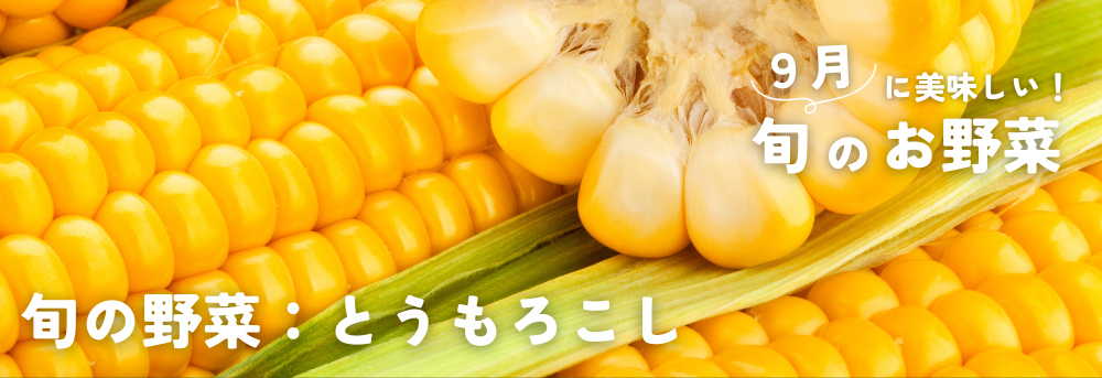 ９月に旬の野菜 とうもろこし