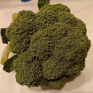 旬の野菜セット８０サイズ