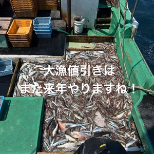 【在庫限り】大漁なので値引きしちゃいます！-60冷凍スルメイカ