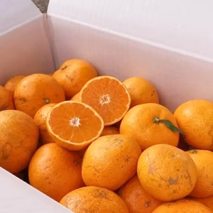 訳あり品!!　11月ゆらみかん,見た目はどうでもいいの,,,(お得な家庭用)