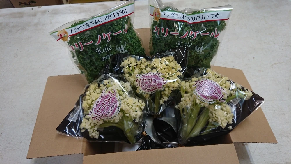 【イタコラset】イタリア野菜のカリフローレとカリーノケールのコラボセット