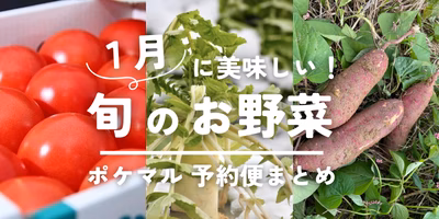 1月が旬の冬野菜（大根・きのこ・トマト等）旬食材 予約・購入も