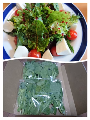 みんなの投稿の画像