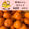 愛情たっぷりで育った有田みかん★温州みかん　家庭用　2Sサイズ　約10キロ
