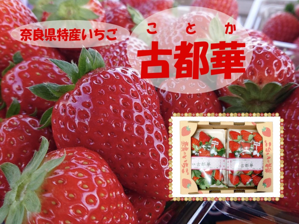 バックナンバー]春のお祝い3選→奈良県秘蔵いちご「古都華」🍓証明書