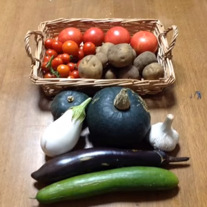 自然栽培　2020注目夏野菜食べ比べセット　6種、16品種程度